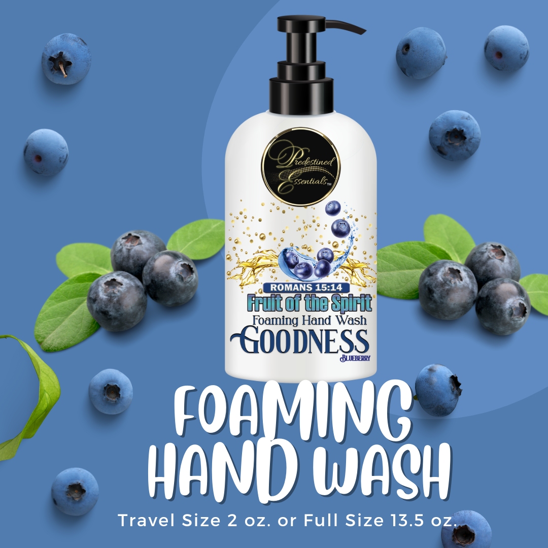 Fruit of the Spirit Foaming Hand Wash