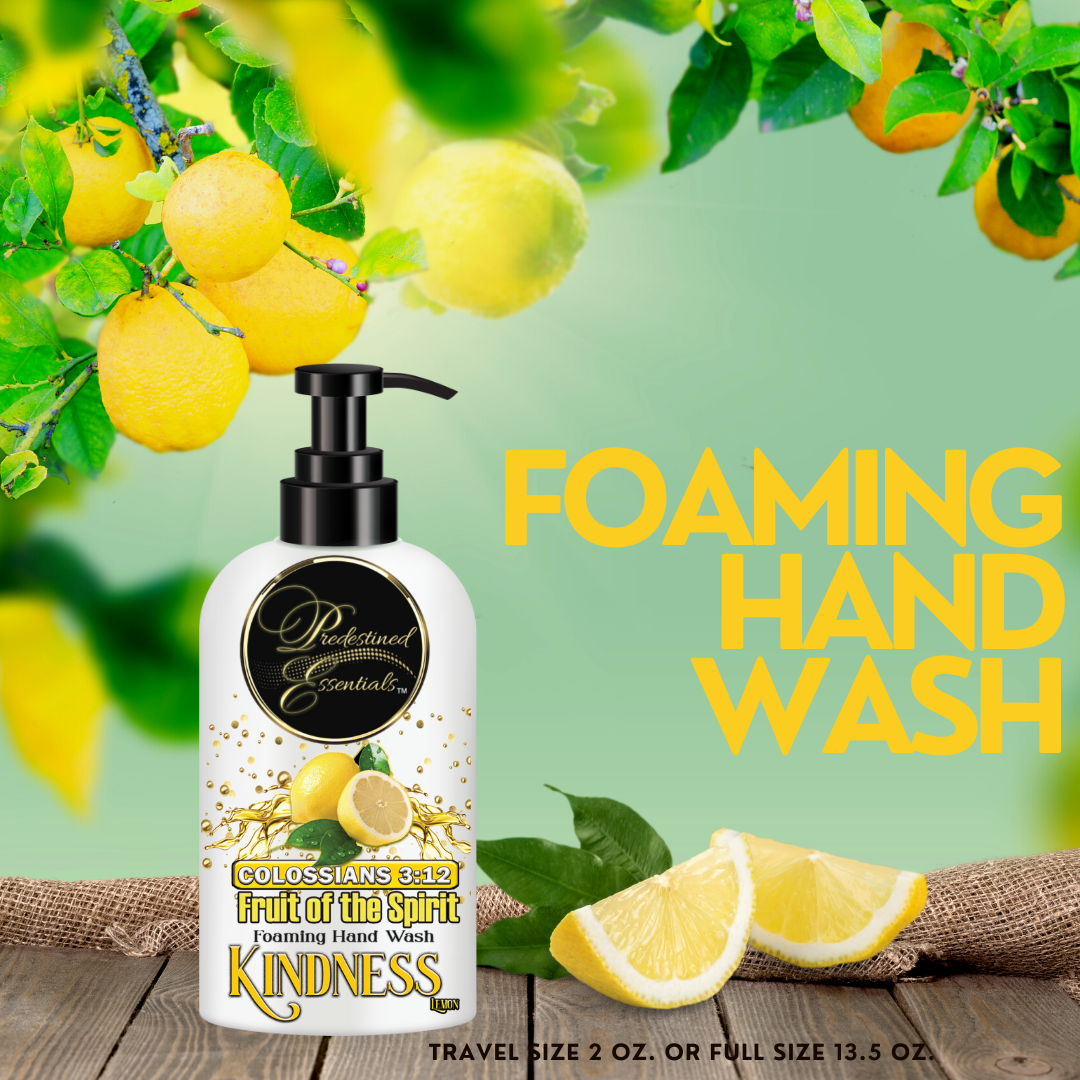 Fruit of the Spirit Foaming Hand Wash