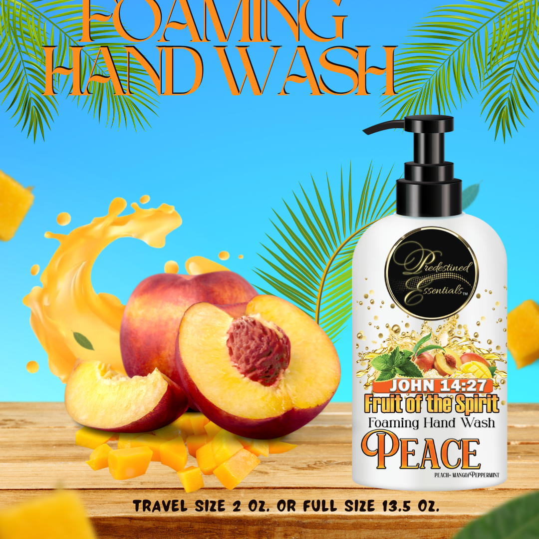 Fruit of the Spirit Foaming Hand Wash