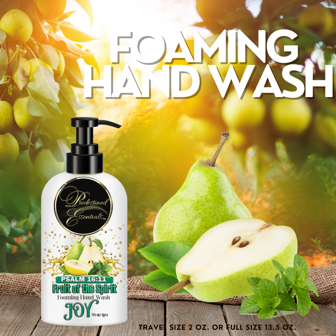 Fruit of the Spirit Foaming Hand Wash