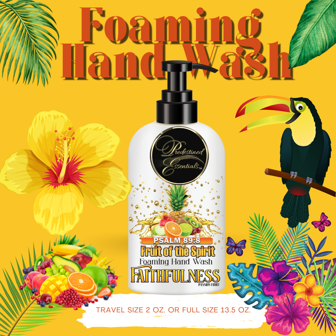 Fruit of the Spirit Foaming Hand Wash