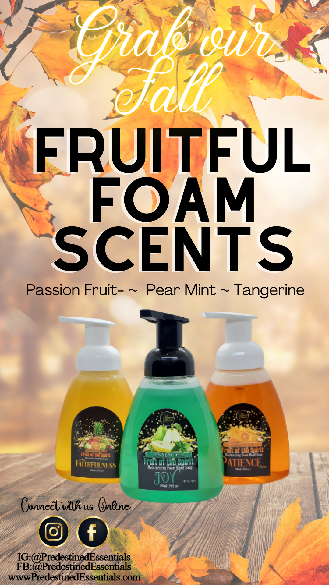 Fruit of the Spirit Foaming Hand Wash